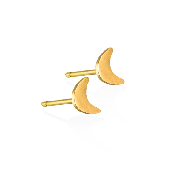 earrings studs moon